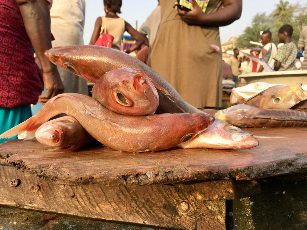Fish on offer at Sekondi Fish market